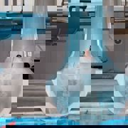 Badeland Sportspark Blaavandshuk 009