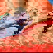 Springcenter Sportspark Blaavandshuk 013